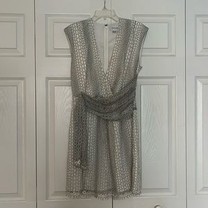 Saylor Cobra Lace Mini Dress Size Small